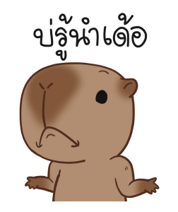 ต้าวคาปิบารา รูปที่ 21