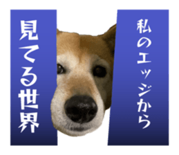 647427040