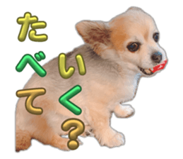 647427316