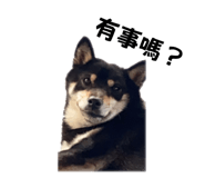 647430055