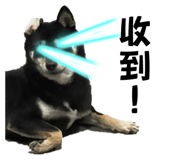 647430059