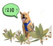 647434942