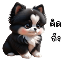 647453564