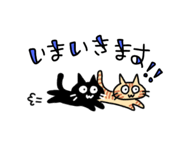 647481557
