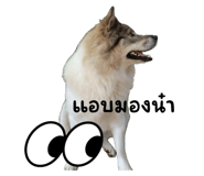 647510027