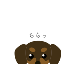 647527805