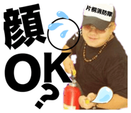 647538353