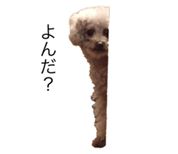 647609950