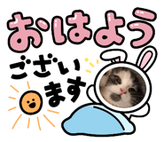 647632698