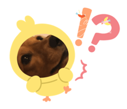 647667008