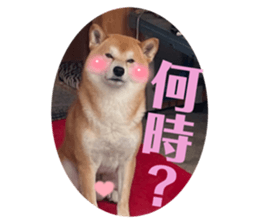 647679338