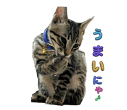 647679537