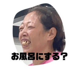 647681337