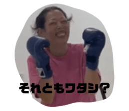 647681338