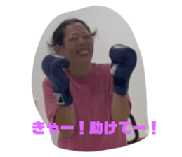 647681341