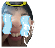 647682444