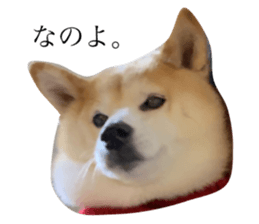 647683466