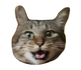 647689478