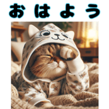 647698999
