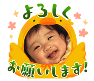 647699856