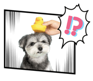 647701089