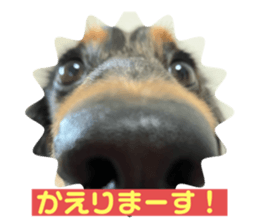 647705012