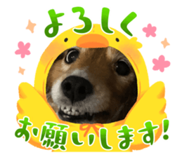 647707426