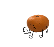 647723238