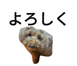 647728632