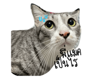 647730089