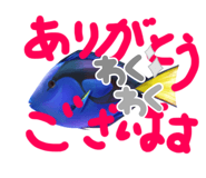 647730206