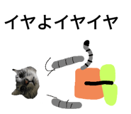 647731866