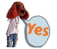 647732850