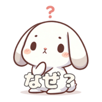 647744877
