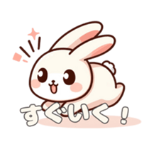 647744888