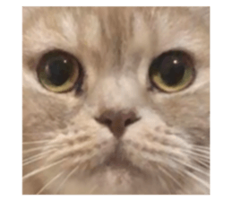 647758712