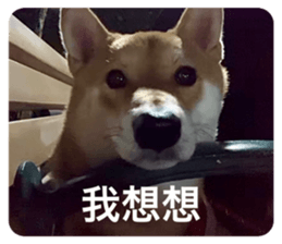 647760708