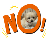 647776122