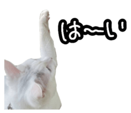 647782696