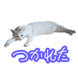 647782707