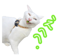 647782715