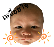 647838106