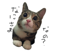 647838176