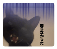 647847732