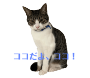 647859894