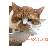 647859901