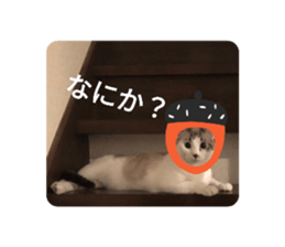 647860045