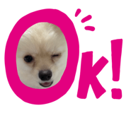 647861578