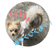 647861580