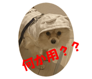 647861581